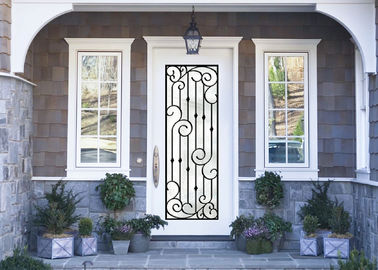 Antyseptyczne niestandardowe drzwi z kutego żelaza ze szklanym inspiracją Craftsmanship